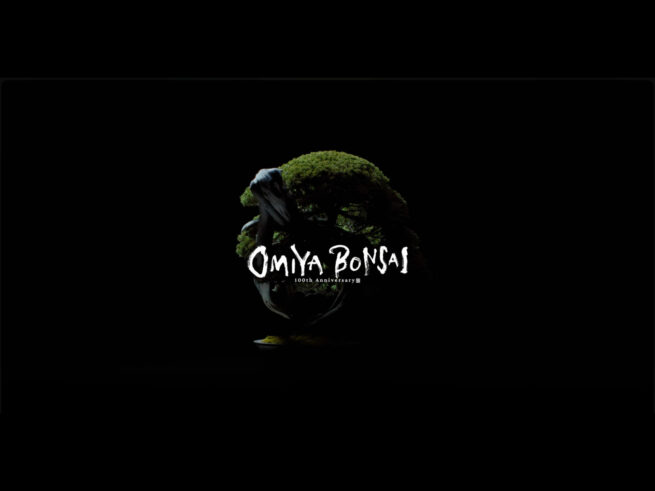 Hair&make-up 辻村友貴恵 / Omiya Bonsai Village 100th Anniversary – Promotion Video
