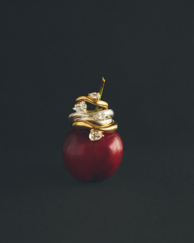 Photographer 堤智世 Stylist 讃井理絵子 / TEN. 2025 New Collection”GARNISH”