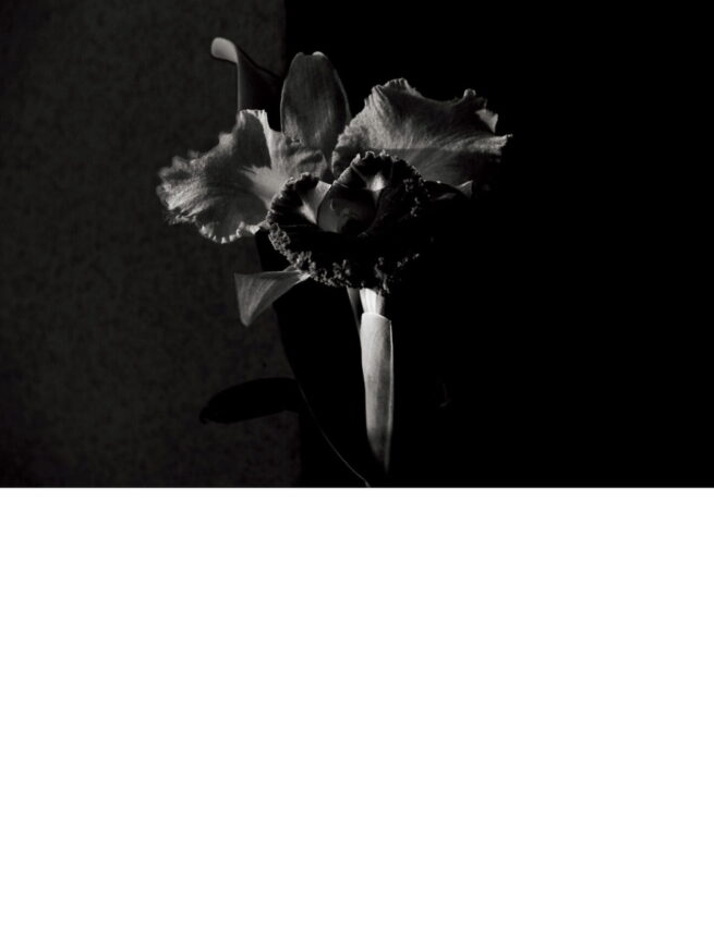 Hair&Make-up 江守美保 / HIGHSNOBIETY JAPAN ISSUE15++