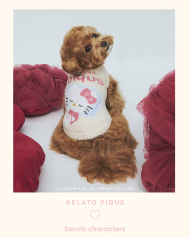 GELATO PIQUE ♡ Sanrio characters
